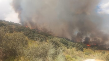MITECO registra récord de horas voladas en control de incendios en 2026 con más de 10.000 y 50.259 descargas de agua