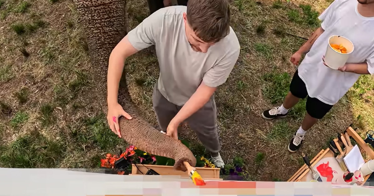 Polémica en Redes: MrBeast Acusado de Explotación Animal por Grupos de Bienestar