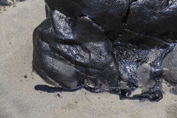 Foto: Agencia Andina