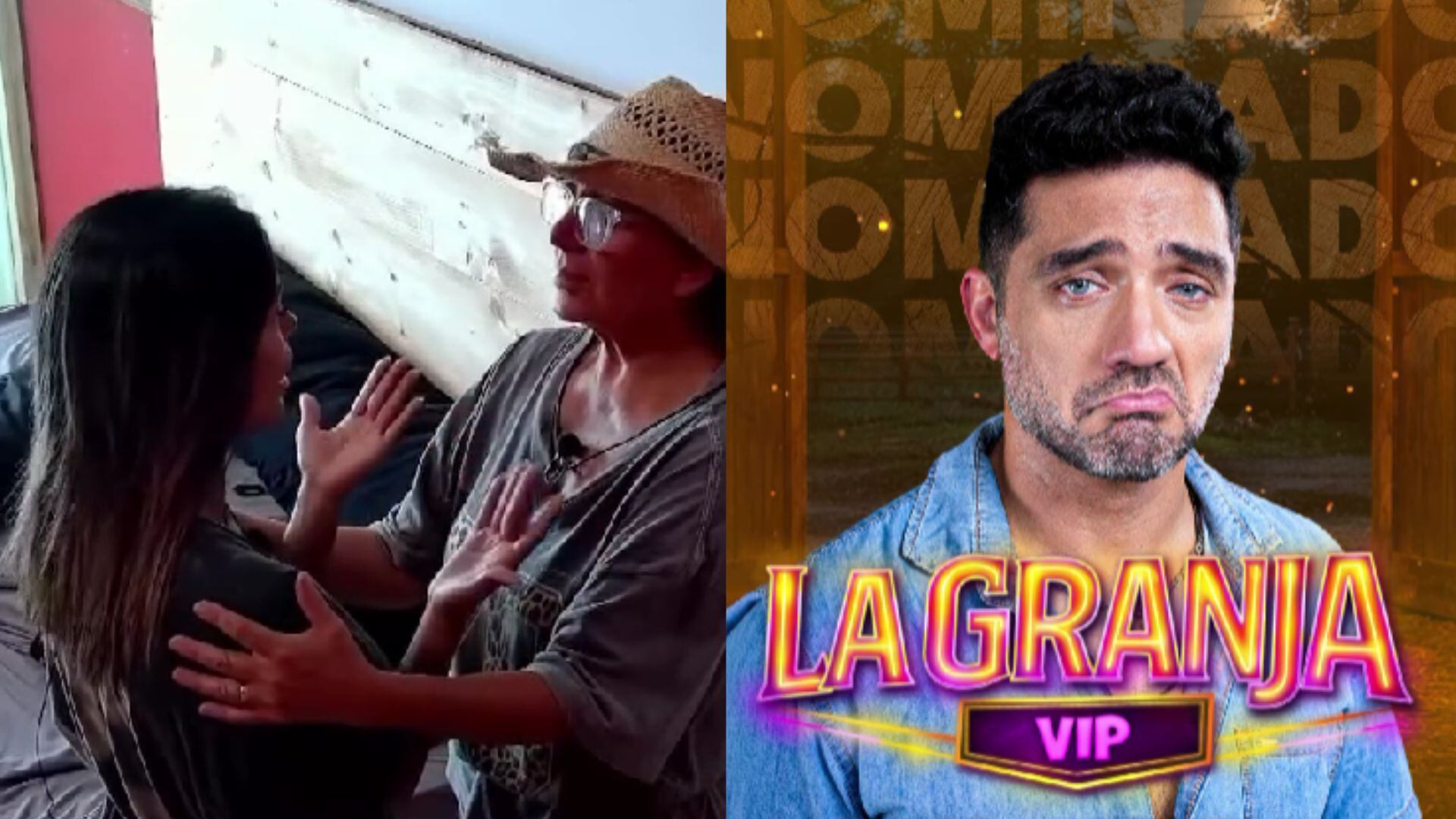 Shirley Arica rompió en llanto y acusó a Pablo Heredia de utilizarla en el reality La Granja VIP Perú.