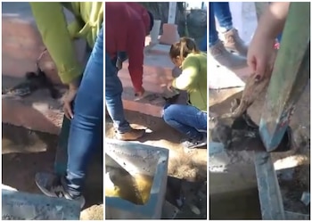 (Foto: captura de pantalla video