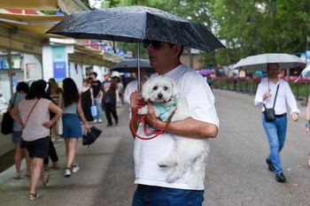 Ambiente, durante el día 13
