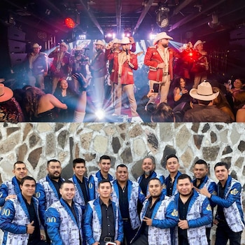 Laberinto, superior; Puro Grullo, abajo.