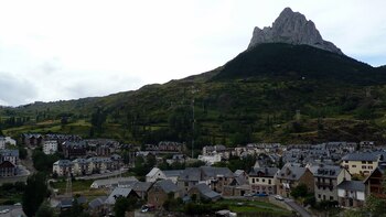 Gracias a su gran número