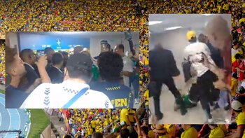 Los videos se viralizaron en