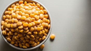 Qué es el lupino, la