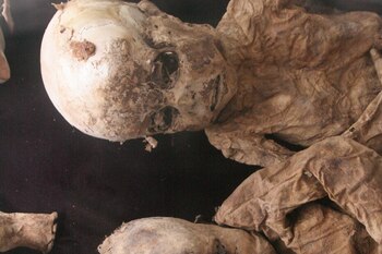 En San Bernardo también hay