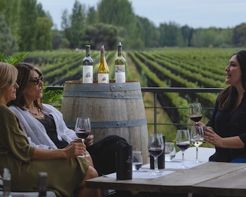 Los 50 mejores vinos de 2021- Magno Córpore Gran Malbec - Finca Bandini