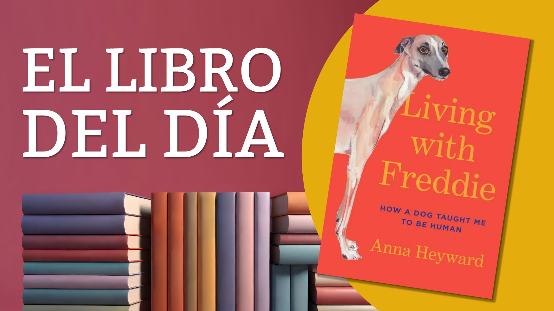 El libro del día: