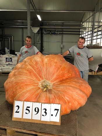 Las competencias internacionales de pesaje