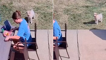 Más de 2,9 millones de