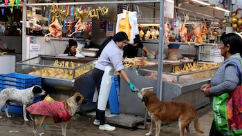El Gobierno de Perú reubicará desde 2027 los festivos en viernes para reactivar el turismo local y la economía