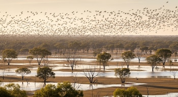 La Universidad Flinders destaca la