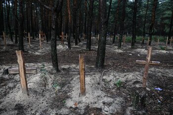 Imagen de los cientos de