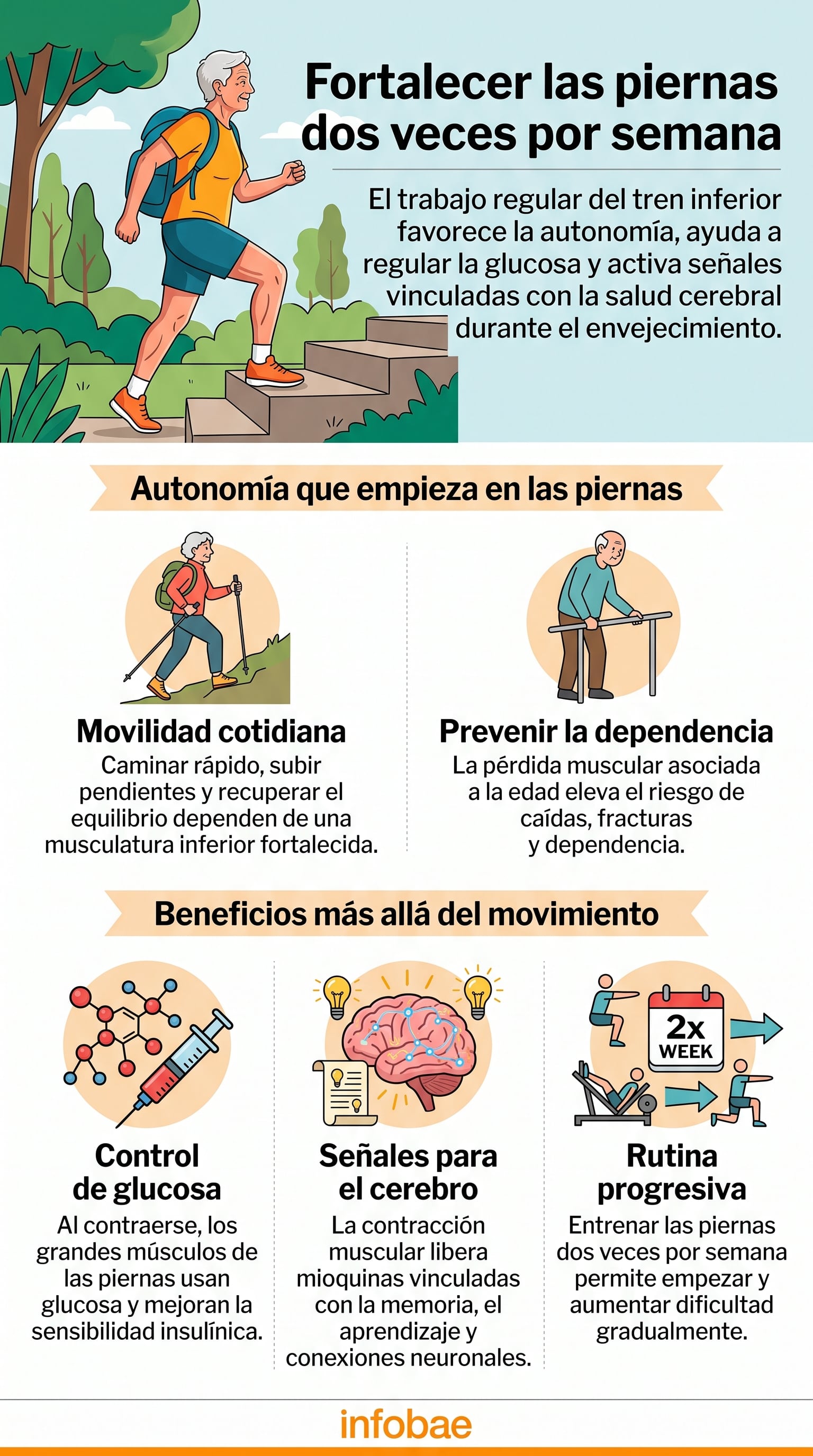 Una infografía de Infobae detalla las razones médicas para ejercitar el tren inferior dos veces por semana y sus efectos en la salud física, metabólica y cognitiva durante el envejecimiento (Imagen Ilustrativa Infobae)