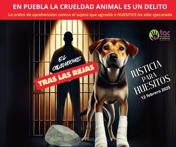 La organización celebró que la