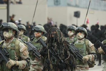 Gran parada militar / Andina