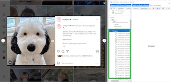 "Images" de la ventana de