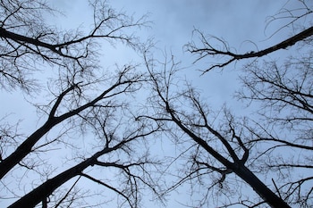 Más de 500 sensores de calidad del aire recogen datos en tiempo real para combatir la contaminación en la ciudad sudafricana - Europa Press