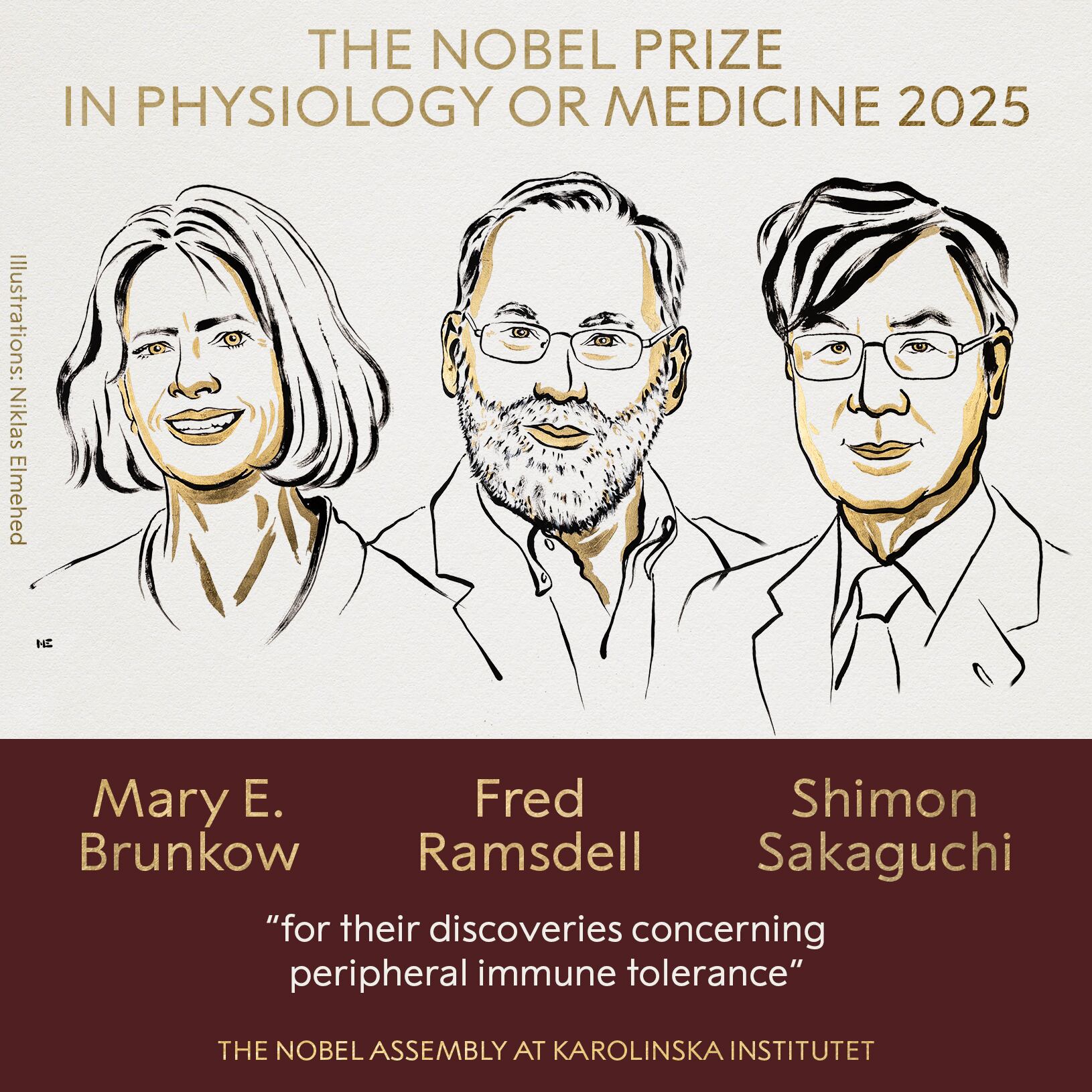 La lucha contra el cáncer refuerza sus esperanzas tras el anuncio del Premio Nobel de Medicina 2025
