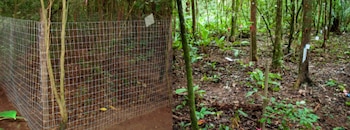 Una cerca de malla en la vegetación y varios árboles etiquetados en un bosque