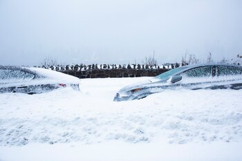 Reston se ubica en el condado de Fairfax, al norte de Virginia (AFP)