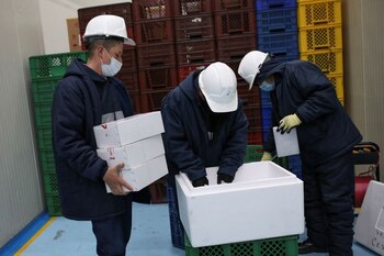 Empleados trabajan dentro de una