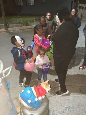 En todo momento acompañó a