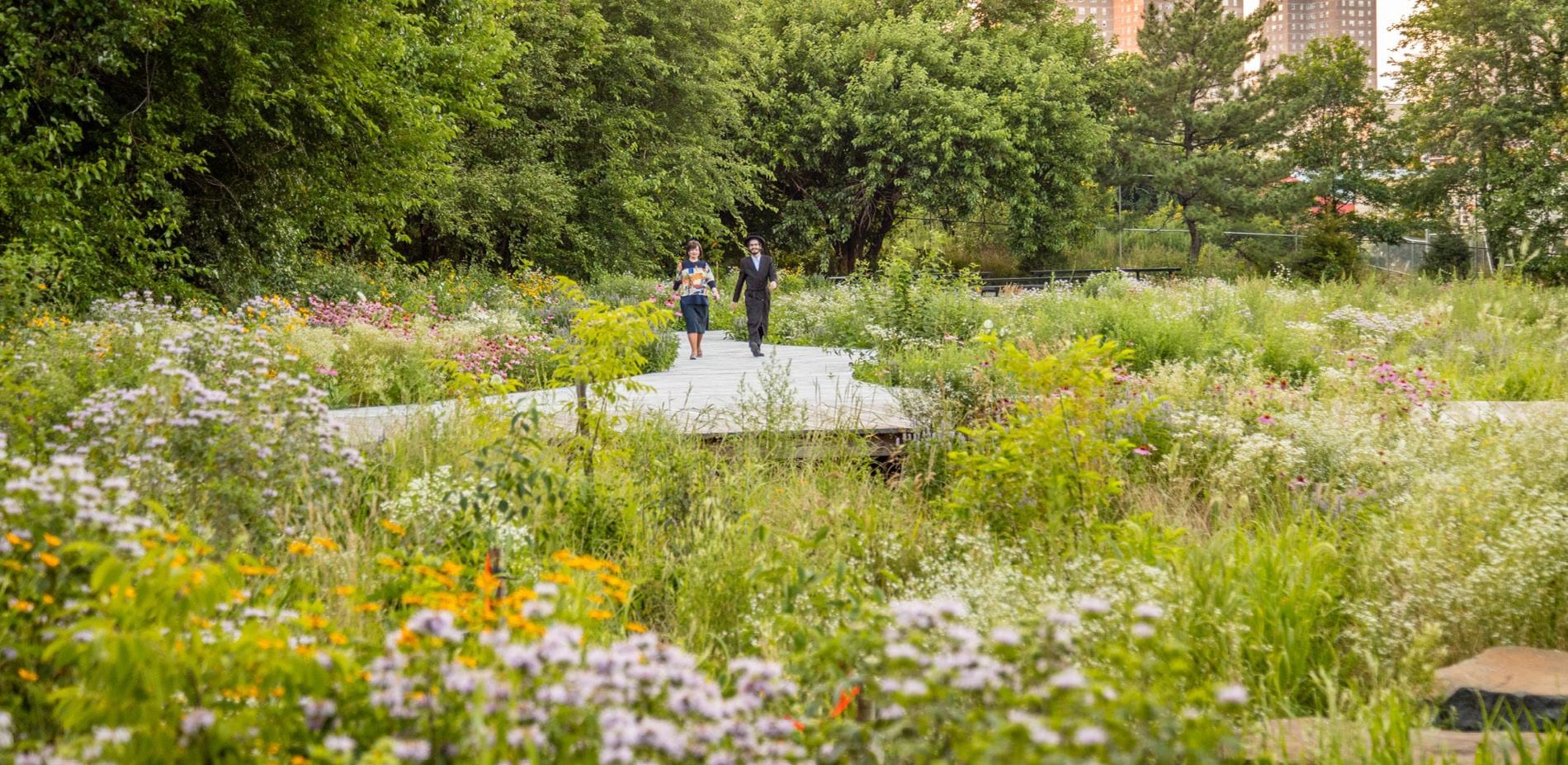 Los Urban Park Rangers ofrecerán una salida para identificar las flores de otoño y los insectos que dependen de ellas en el waterfront de Brooklyn.