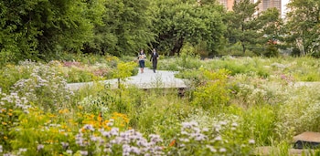 Los Urban Park Rangers ofrecerán una salida para identificar las flores de otoño y los insectos que dependen de ellas en el waterfront de Brooklyn.