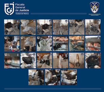 Foto: Fiscalía de la CDMX