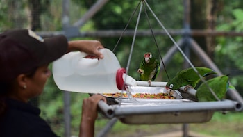 Algunas personas con soledad pueden
