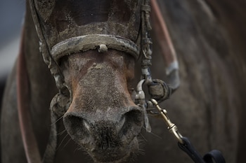 Un fallo judicial de La