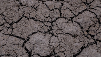 Fotos: Mexicanos contra la corrupción.