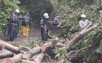 Equipos de emergencia trabajaron en el retiro de árboles caídos que bloquearon vías tras el paso de la tormenta tropical Cristina en El Salvador (Cortesía: Alcaldía Libertad Sur).