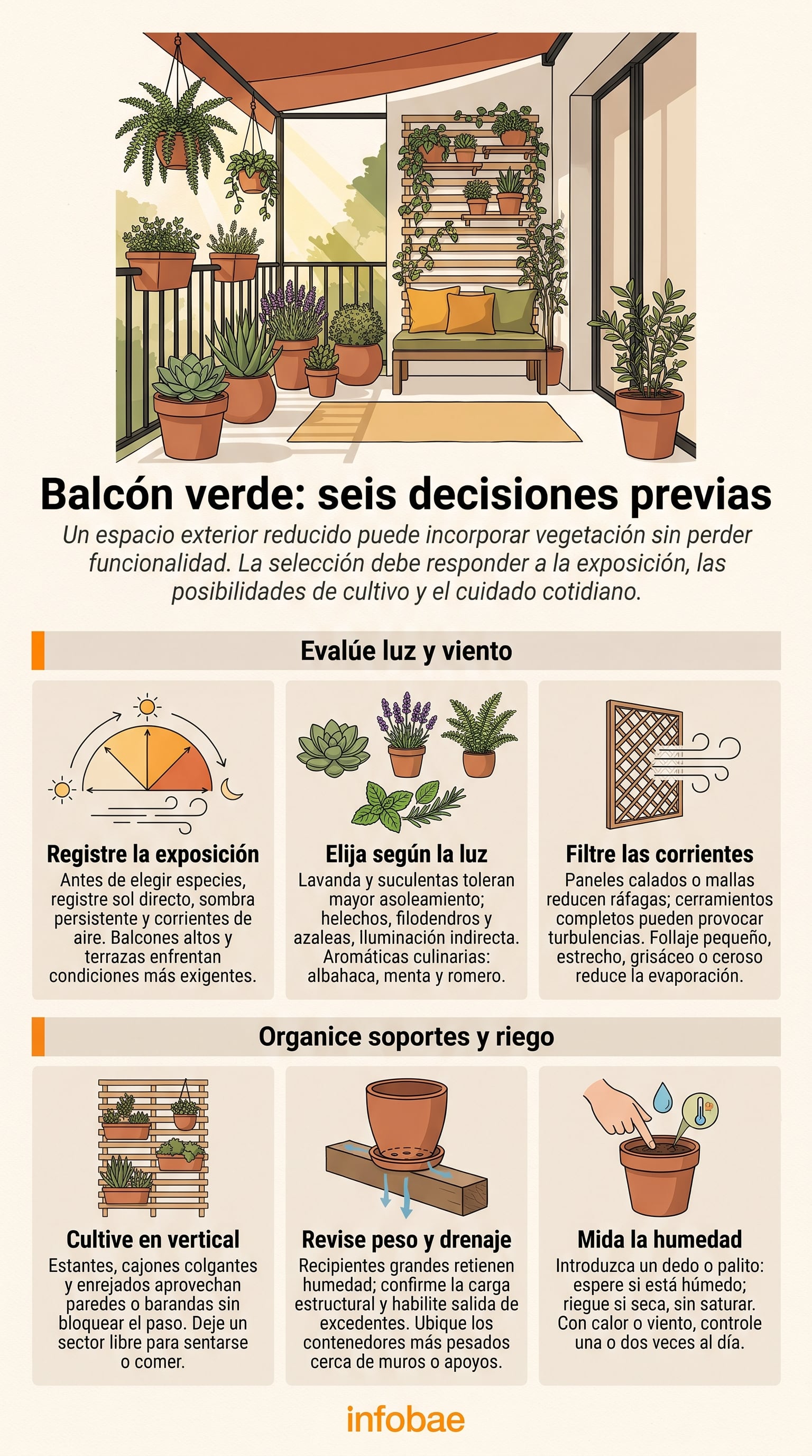 Las corrientes de aire aumentan la pérdida de humedad en las plantas de altura. (Imagen Ilustrativa Infobae)