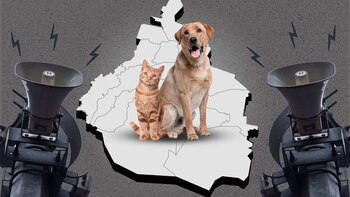 Cómo debes prepararte con tu