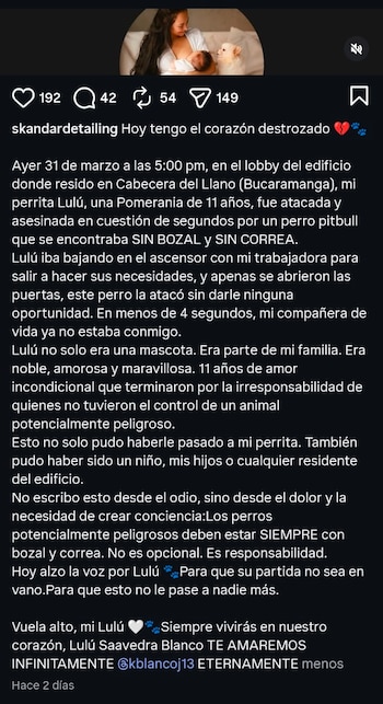 - crédito @skandardetailing/IG