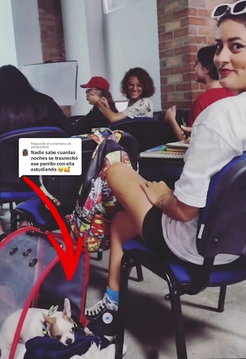 Meraki comparte en redes cómo