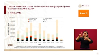 Casos notificados de dengue por