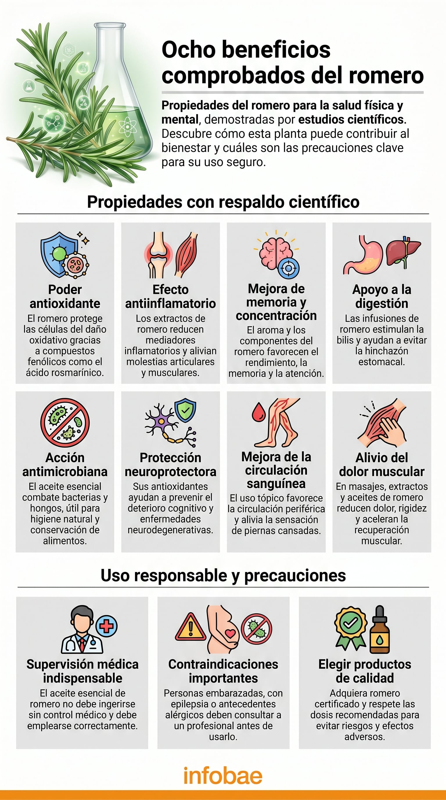 Especialistas aconsejan evitar la automedicación con romero, especialmente en personas embarazadas, con epilepsia o antecedentes de alergias - (Imagen Ilustrativa Infobae)