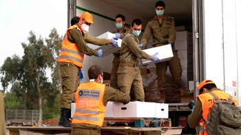 El trabajo de las Fuerzas