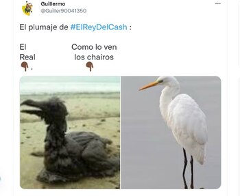 Usuarios en redes sociales reaccionaron