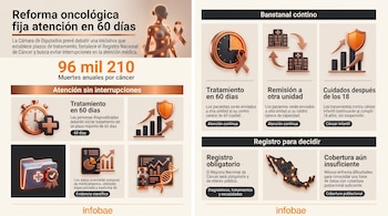 Infografía con textos e iconos explicativos sobre el cáncer, un reloj, gráficos, un mapa de México y el logotipo de Infobae.