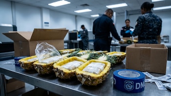 Las autoridades dominicanas interceptaron 30 kilos de cocaína ocultos en piñas con destino a Afganistán