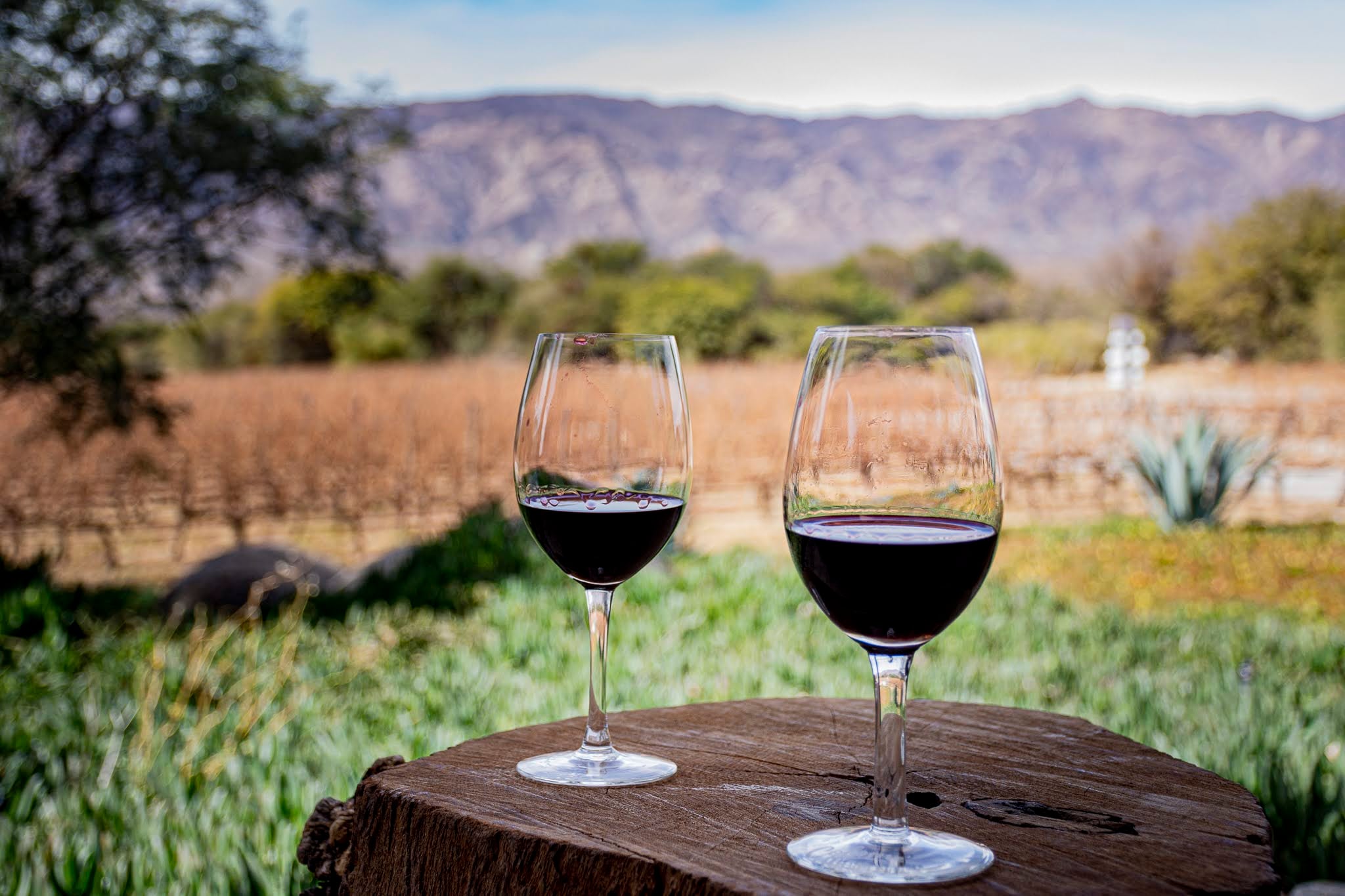 En 2025, la provincia movilizó más de 1,3 millones de pasajeros