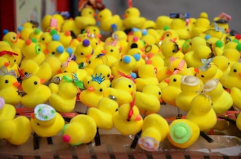 La moda de los patitos