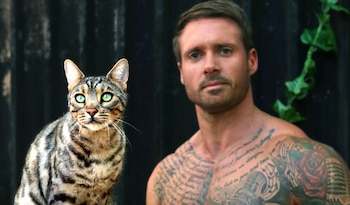 El 11 de noviembre lanzaron