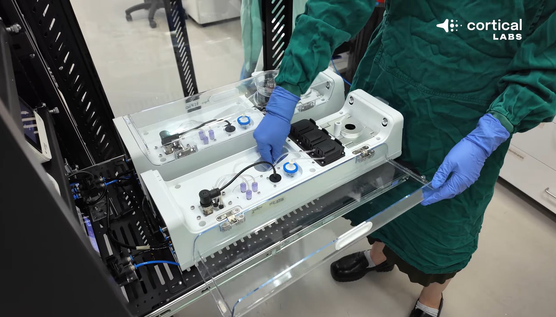 Para controlar Doom, el sistema traduce los eventos del juego en patrones de señales eléctricas que las neuronas pueden procesar. (Youtube: Cortical Labs)