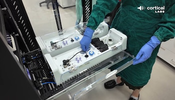 Para controlar Doom, el sistema